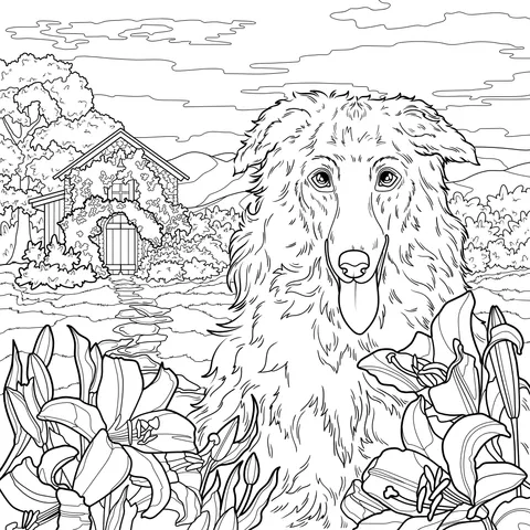 Collie by the Pastoral Field