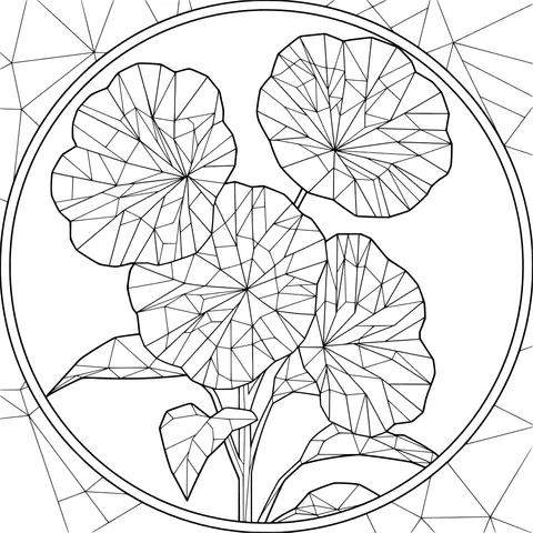 Gorgeous Geometric Flowers