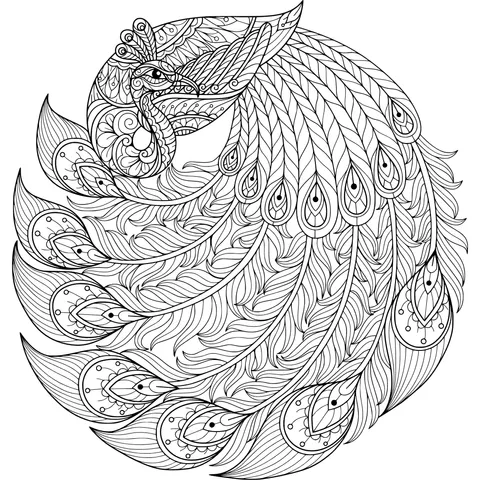 Gorgeous Peacock Pattern