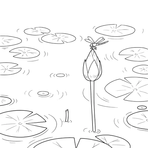 Dragonfly over Lotus Pond