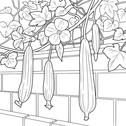 Loofah and Flowers by the Wall