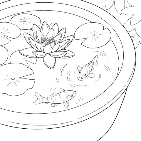Koi Fish and Water - lily in a Pot
