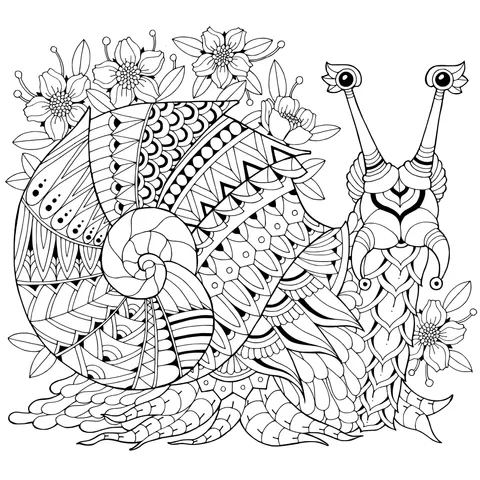 Colorful Snail Illustration