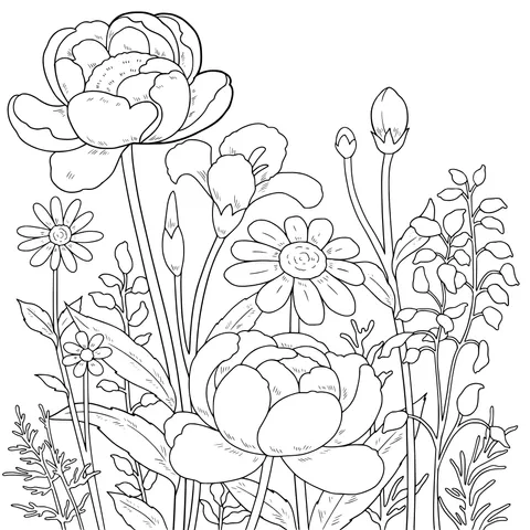 Colorful Flowers