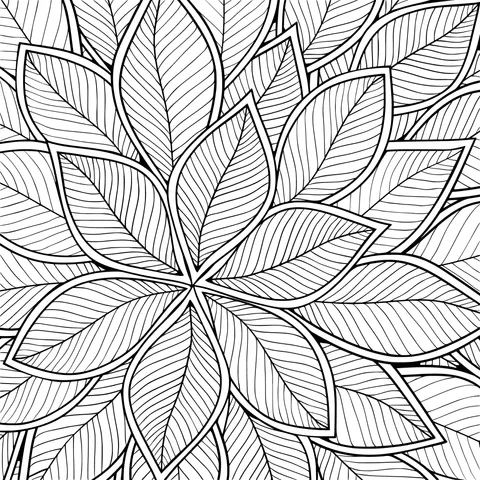 Exquisite Leaf Pattern