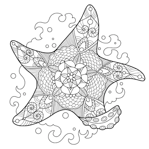 Gorgeous Starfish Pattern