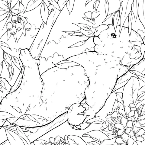 A Relaxing Koala