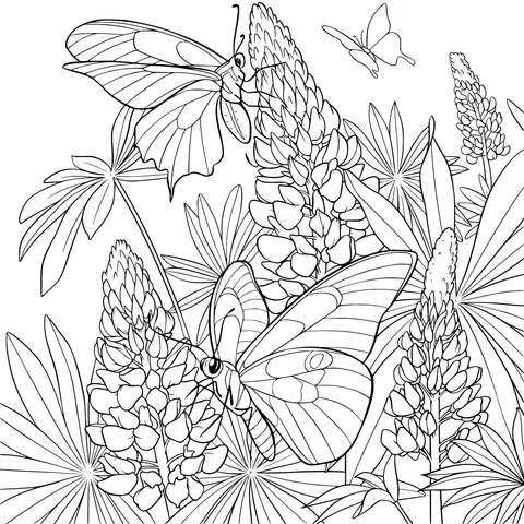 Butterflies Dancing Among Lupines
