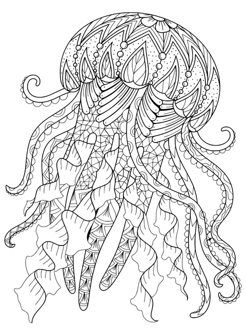 Dreamy Jellyfish
