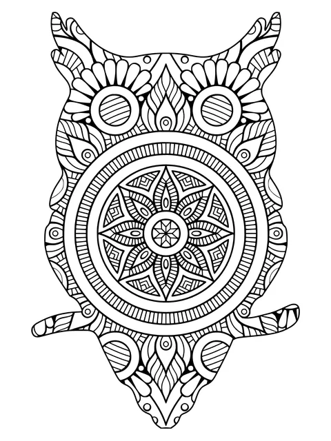 Colorful Owl Pattern