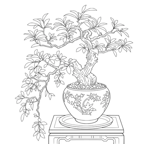 Exquisite Bonsai Image