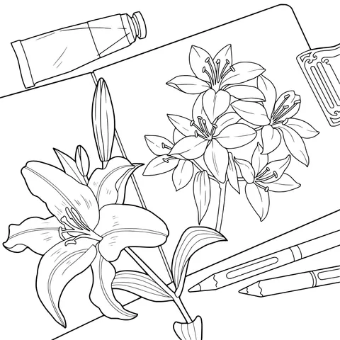 Lily Coloring Image