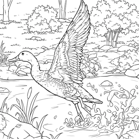 Duck in Flight