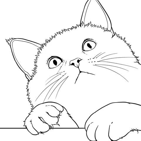 Cute Cat