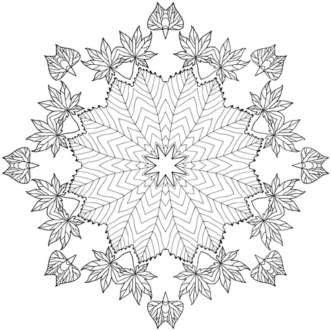 Autumn Maple Leaf Mandala Pattern