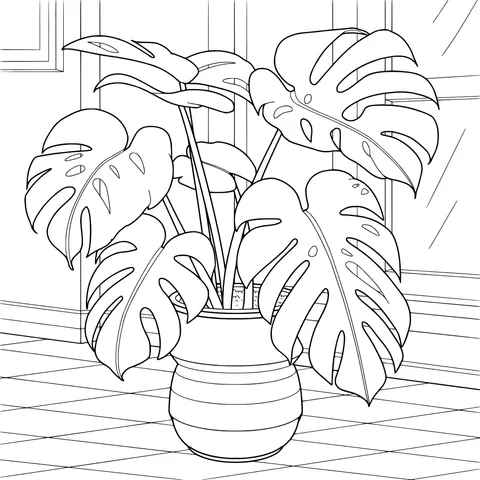 Indoor Monstera