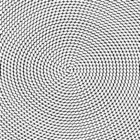 Gorgeous Spiral Pattern