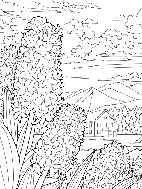 Hyacinth Rural Beauty