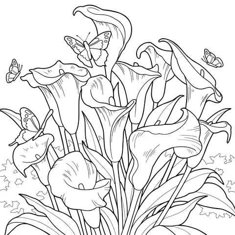 Calla Lilies and Butterflies