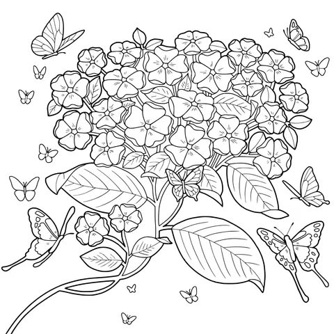 Flowers and Butterflies