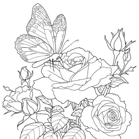 Butterfly Perching on Roses