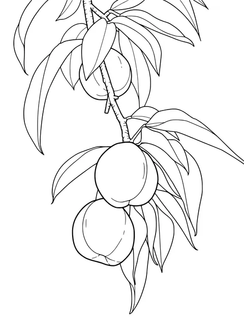 Peaches on the Branch