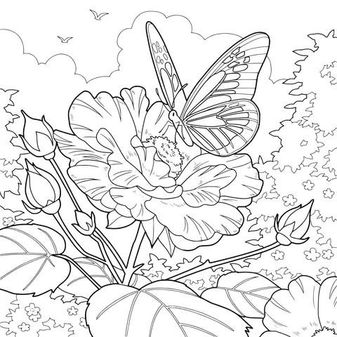 Butterfly Perching on Flowers