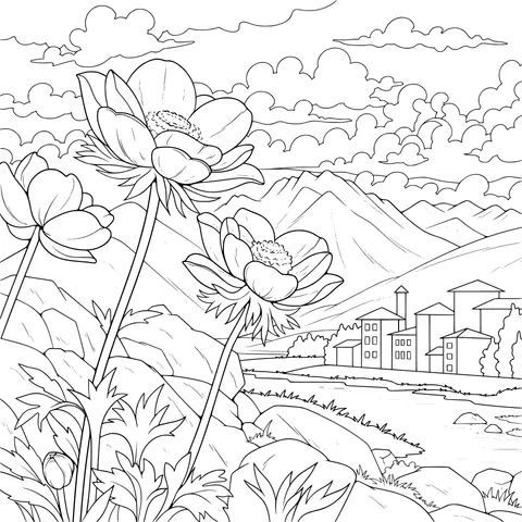 Beautiful Purple Flowers in the Mountains