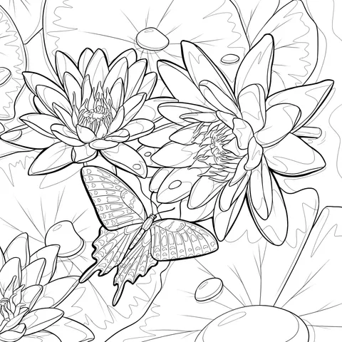 Butterfly in Lotus Pond