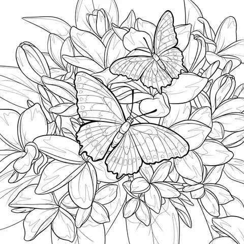 Butterflies among Flowers