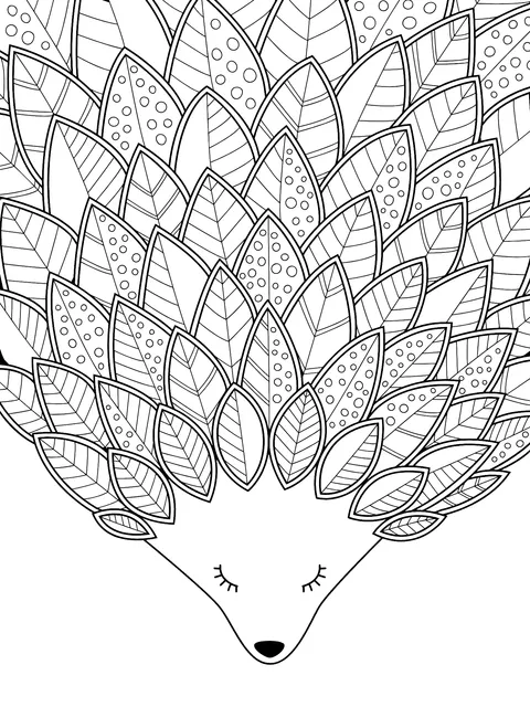 Cute Hedgehog Illustration