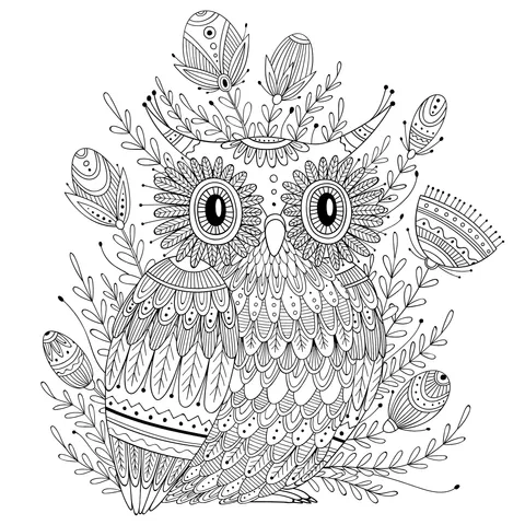 Colorful Owl Illustration