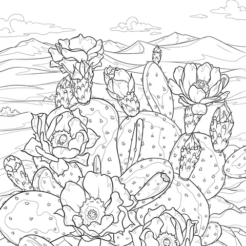 Colorful Cacti in the Desert