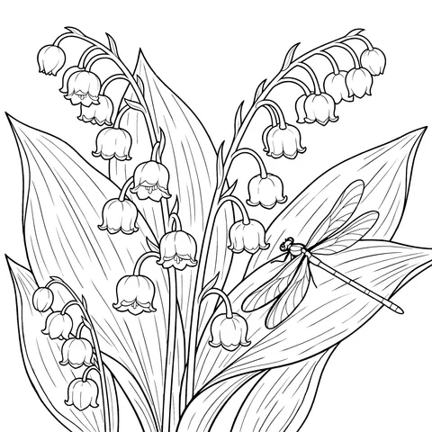 风铃花