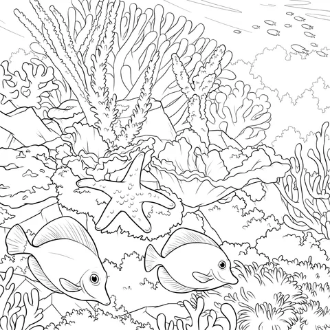 Underwater Corals and Fish