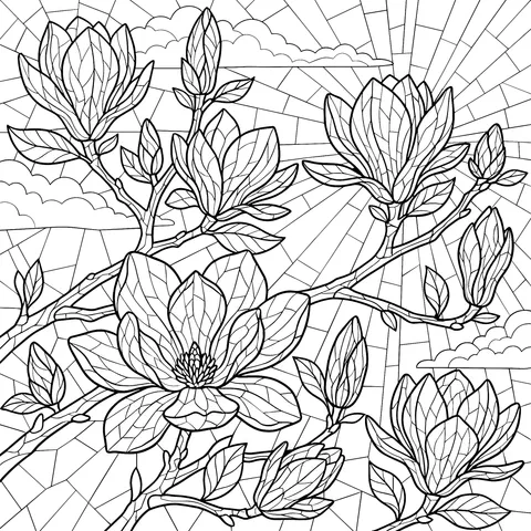 Magnolia Branches