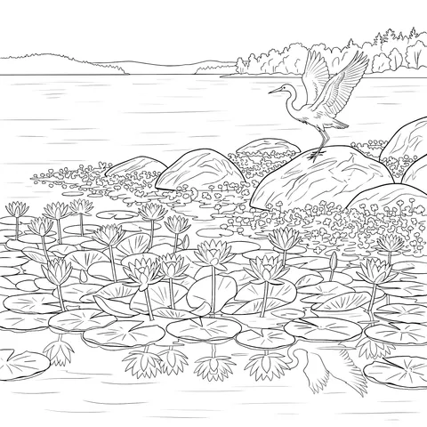 Egret and Water - lilies by the Lake
