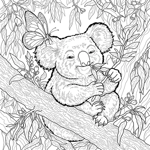 Koala and Butterfly