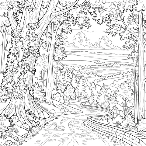 Autumn Scenery of a Forest Path