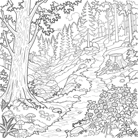 Autumn Forest Path