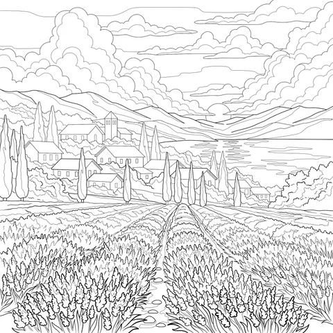 Sunset Lavender Countryside