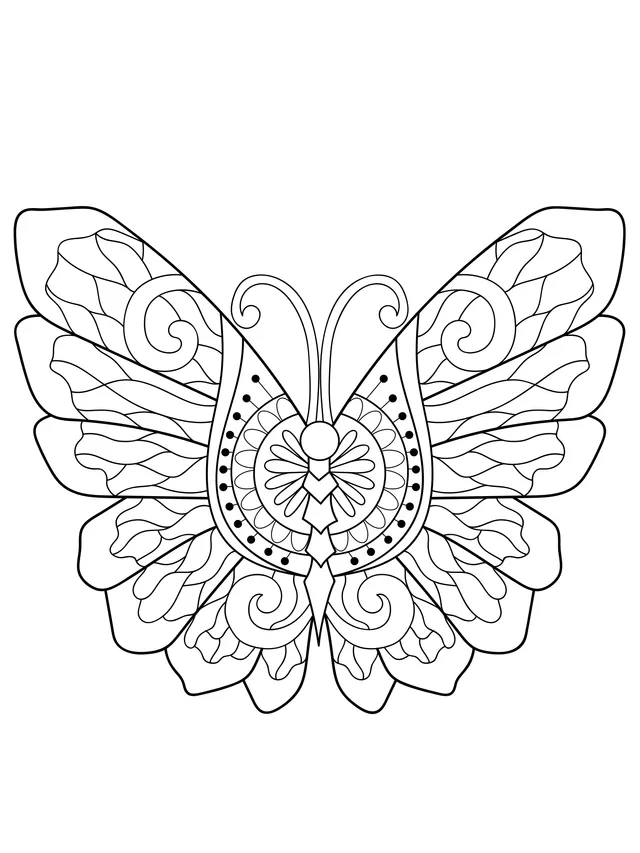 Colorful Patterned Butterfly