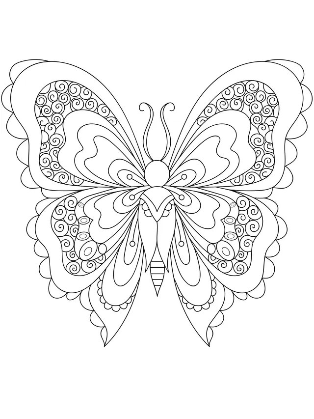Colorful Butterfly
