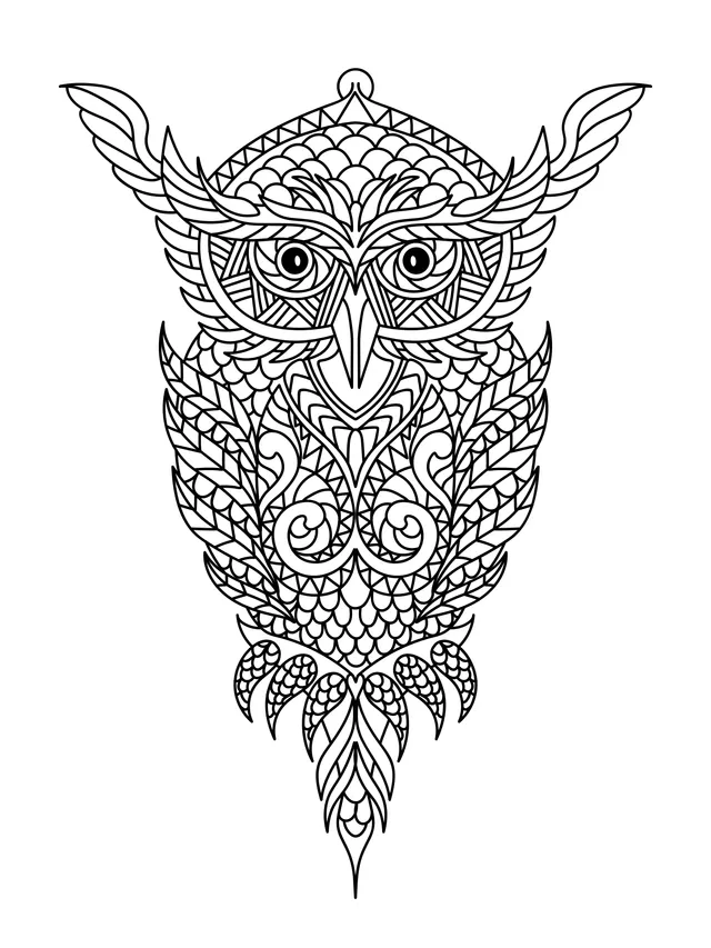 Colorful Decorative Owl Pattern