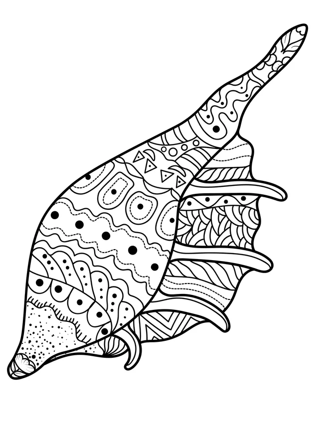 Colorful Patterned Seashell