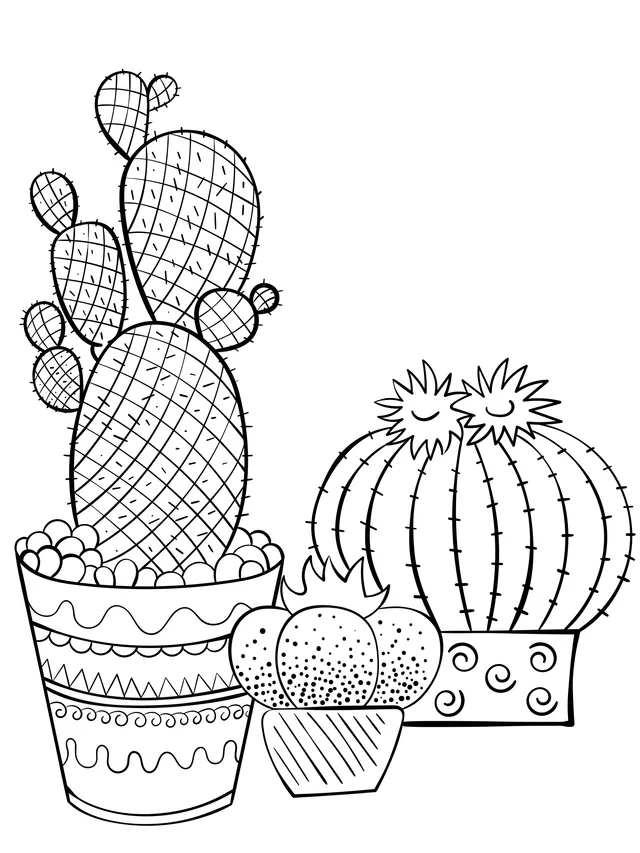 Cute Cactus Potted Plants