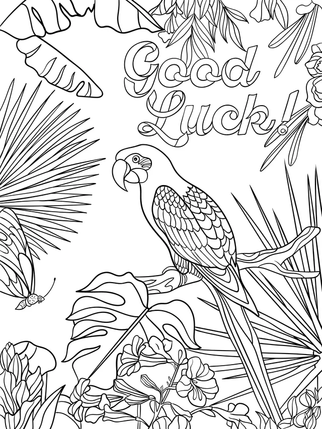 Good Luck!