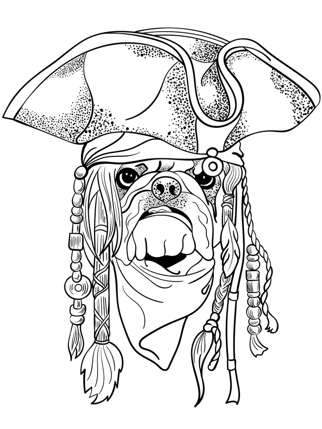Pirate Dog