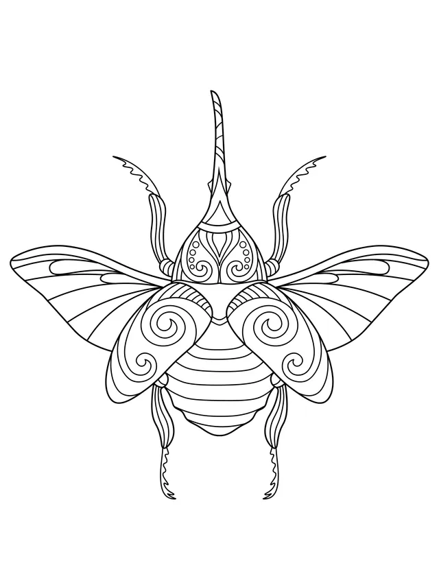 Colorful Decorative Beetle
