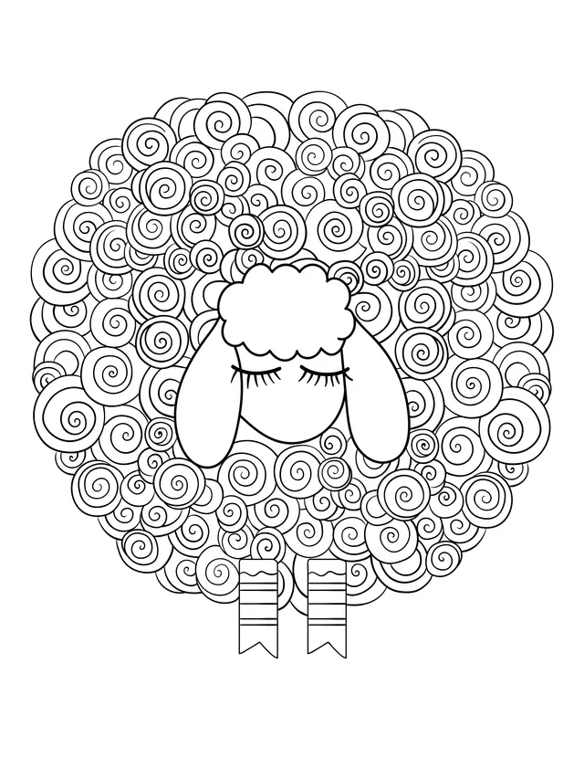Colorful Curly - Wooled Sheep